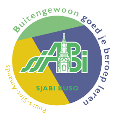 Buitengewoon secundair onderwijs